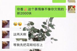 海州专业讨债公司有哪些核心服务？